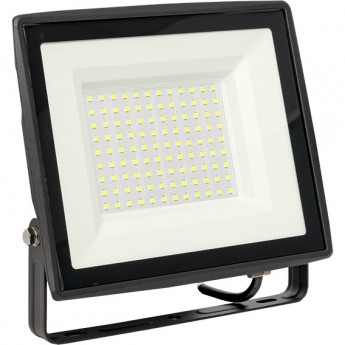 Прожектор светодиодный EKF BASIC СДО-3006 100Вт 6500К IP65